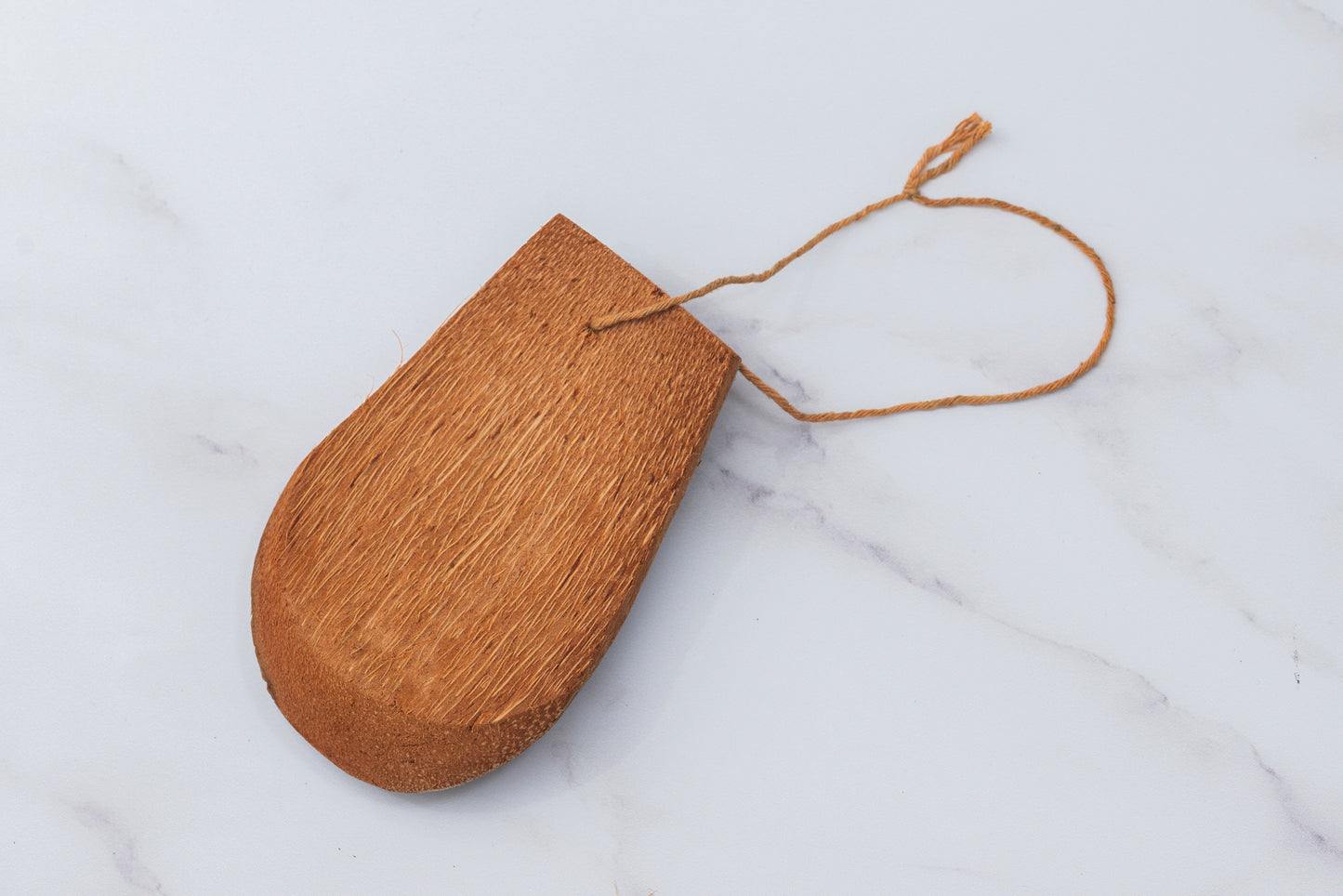 Washing Up Scraper