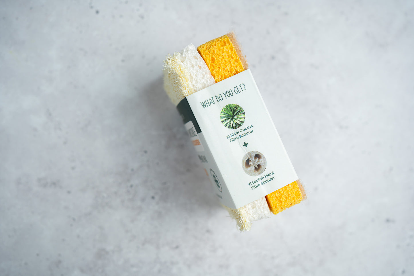Sponge Scourer