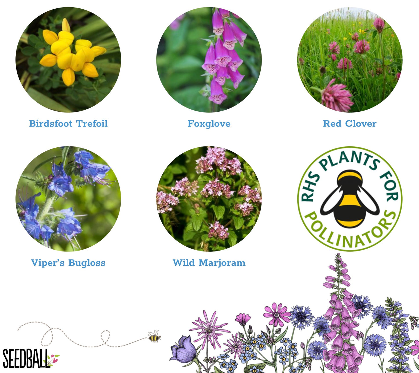Seedball - Bee Mix