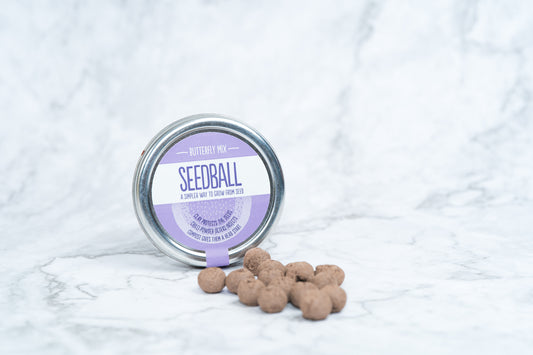 Seedball - Butterfly Mix