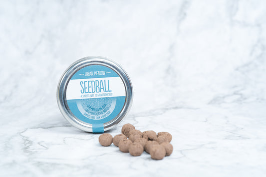 Seedball - Urban Meadow