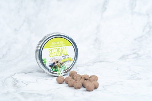 Seedball - Hedgehog Mix