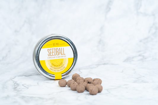 Seedball - Bee Mix